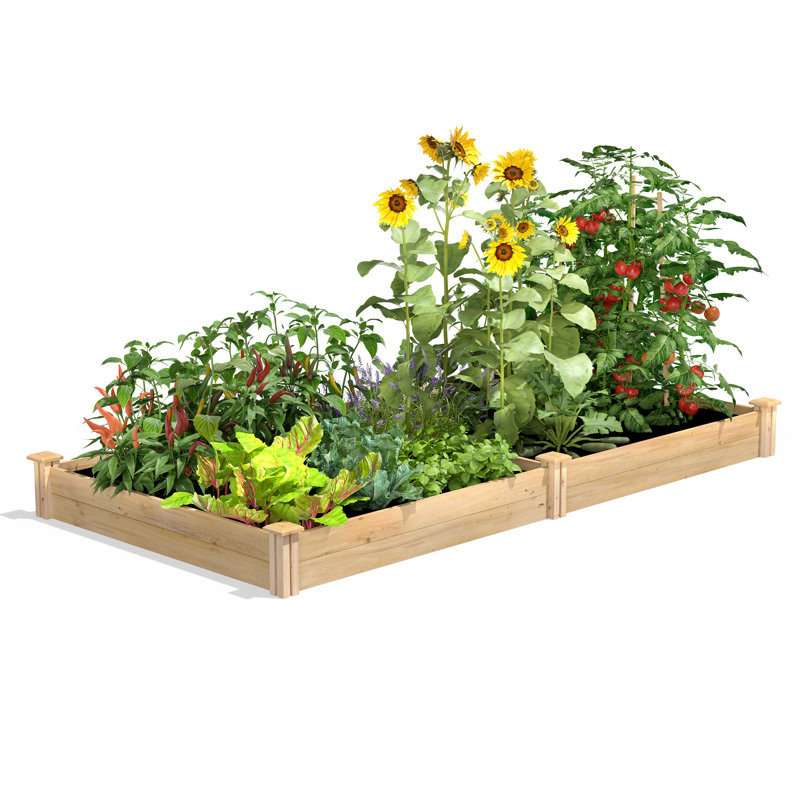 Katsuyoshi Wood Raised Garden Bed, 7" H x 96" W x 48" D, Cedar