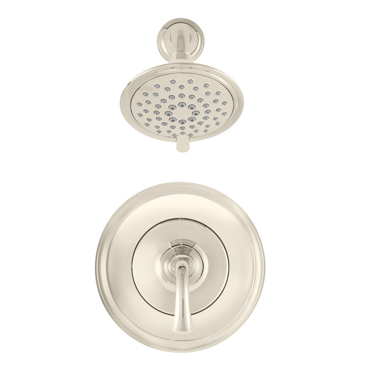 Robinet de douche Patience, Nickel poli