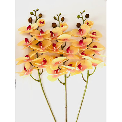 Artificial 9 Heads Phalaenopsis Real Touch Latex Orchid - 3 Stems /Yellow