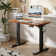 Guimauve Height Adjustable Electric Standing Computer Desk With Non-Spliced Desk Top Home Office Desk