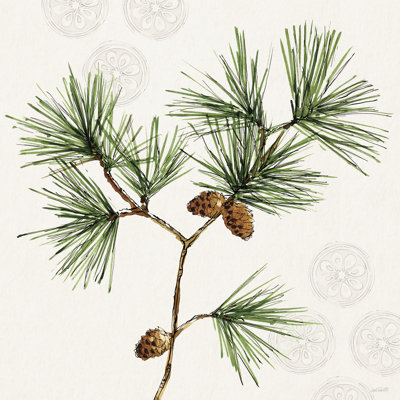 «Winter Adornment II» par Anne Tavoletti