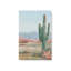 Ensemble de 2 cactus intemporels Saguaro-239930730-239930732
