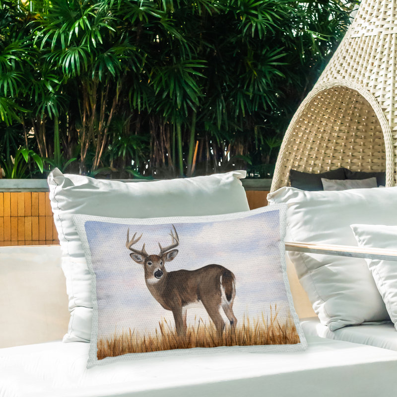 Polyester Lumbar Rectangular Indoor/Outdoor Pillow Cover & Insert
