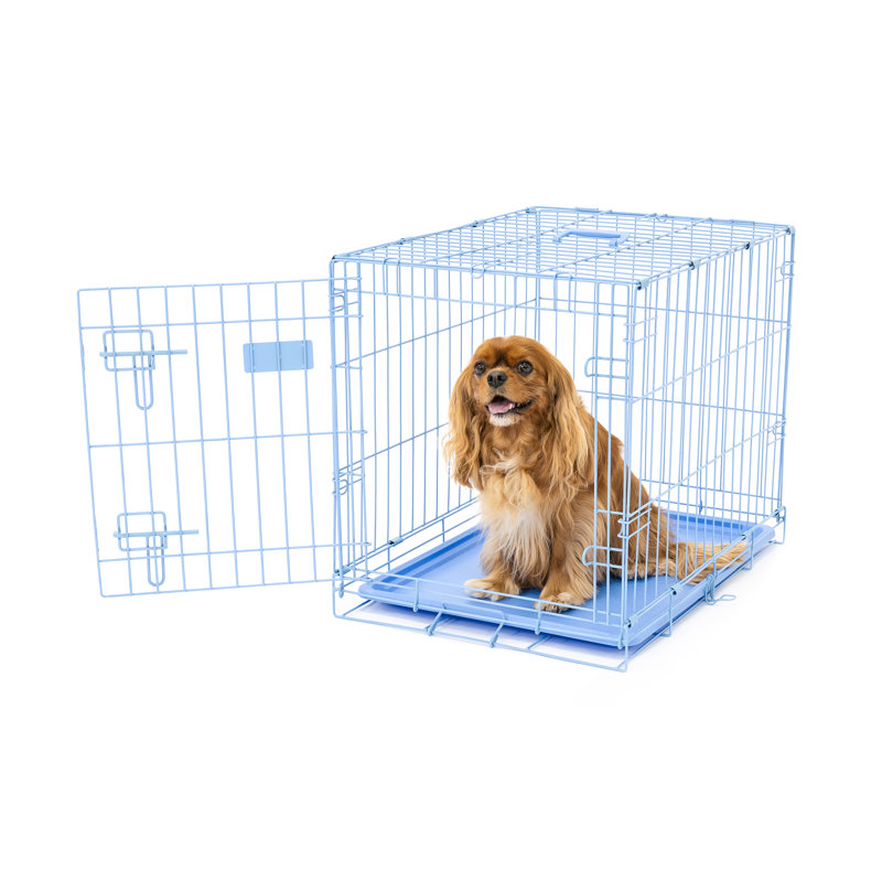 Caisse pour animaux Carlson, Bleu