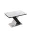 Table de salle à manger carrée moderne, extensible, plateau de table imprimé + pied de table en panneau de fibres à densité moyenne avec base en métal (même SKU: W757S00012)-978384461-978384448