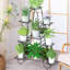 Anterrio Plant Stand