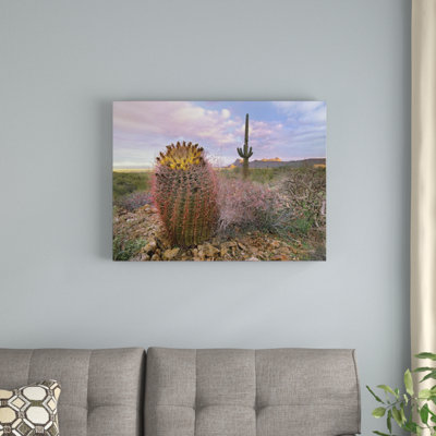 " Saguaro And Giant Barrel Cactus, Saguaro National Park, Arizona " by Tim Fitzharris