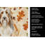 Serviette de cuisine tricolore Sheltie-2083472802