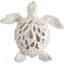 Tortue de mer blanche, corail, corail, océan