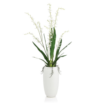Blanc élégant