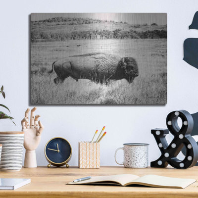 "Buffalo I BW" par Debra Van Swearingen