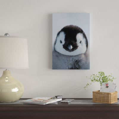 « empereur pingouin poussin, prydz bay, photographie de eastern antarctique » sur toile