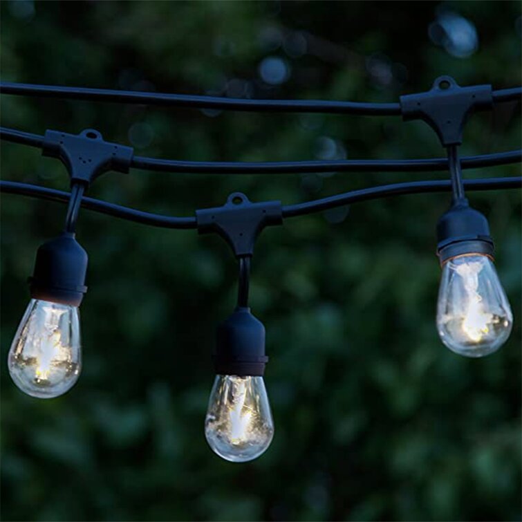 Brightech Ambience Pro Edison Black LED Waterproof String Lights, 24 Ft  Feet  Reviews Wayfair