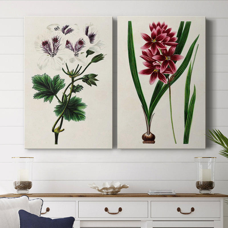 AntiqueFloralFolioIX-Premium Gallery Wrapped Canvas -Ready to Hang, 18" H x 24" W