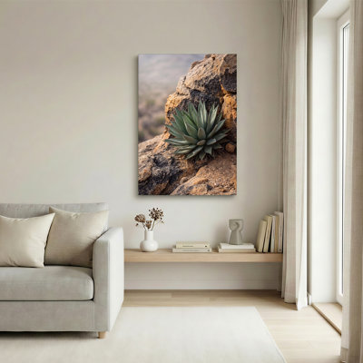 «Green Agave Plant Growing On Weathered Rock Face», art mural sur toile