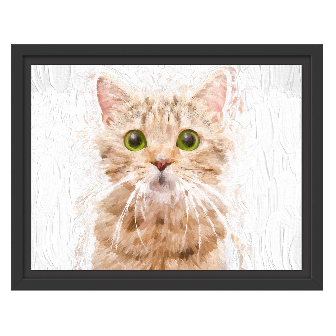 Gerahmtes Wandbild Katze Scottish Straight