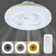 Ceiling Fan with LED Lights