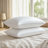 Wrinkle-Resistant & Dust-Proof Queen Down Alternative Pillows - Premium Bed Pillows with Luxurious Sheen, Breathable & Skin-Friendly Cover-1061835959-1064417113
