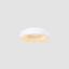 Aukievah LED Flush Mount-1701685625