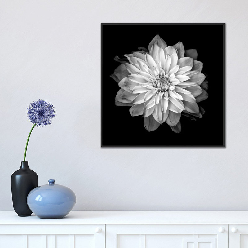 «Dahlia XVII, B&W» par Magda Indigo, impression sur toile, H 12 po x l 12 po x P 0,75 po, Pas de tapis, Toile tendue