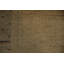 Tapis oriental neutre de style Gabbeh 4 x 6 avec cadre décoratif complexe