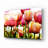 " Tulips " Print-378351185