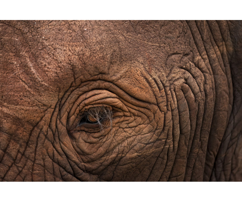 Wrapped Canvas Print, 50.8cm H x 76.2cm W