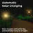 39.75'' Plastic / Acrylic Solar Powered Garden Torch
