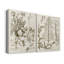 Toile tendue avec châssis sépia Botanical Journal-1690380101