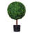 23.5 " H Faux Boxwood Topiary in Plastic Pot-682903582