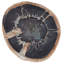 Laurel Canyon Cross Creek Accent Table