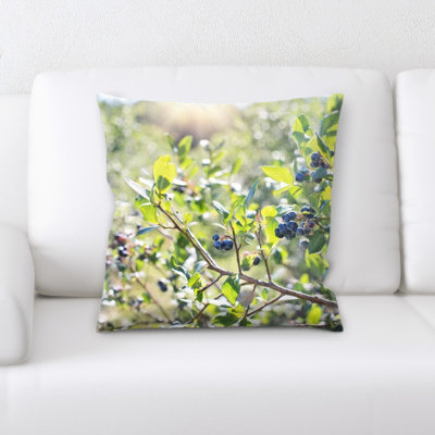 Coussin blueberries