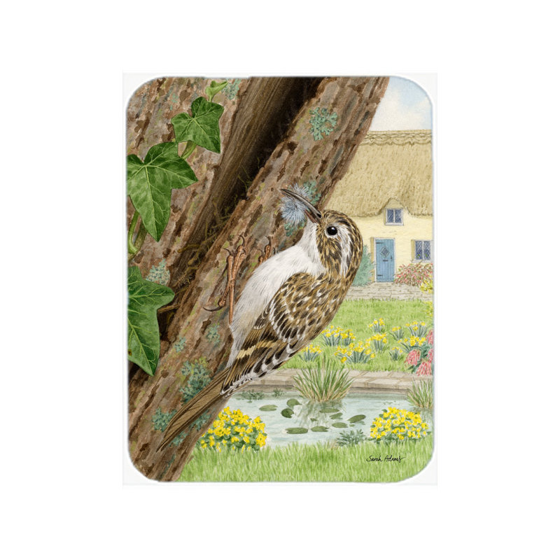 Planche à découper en verre trésors caroline Treecreeper
