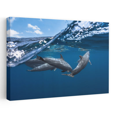 Wild Dolphins Ocean Swim Abstract Contemporary Dolphin Nature Ocean Wall Art Print by Barathieu Gabriel - Wrapped Canvas Print
