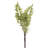 Fern Arrangement