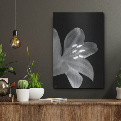  'Lily 3' by Life BeautifuLEE Metal Wall Art, 12" x 16"
