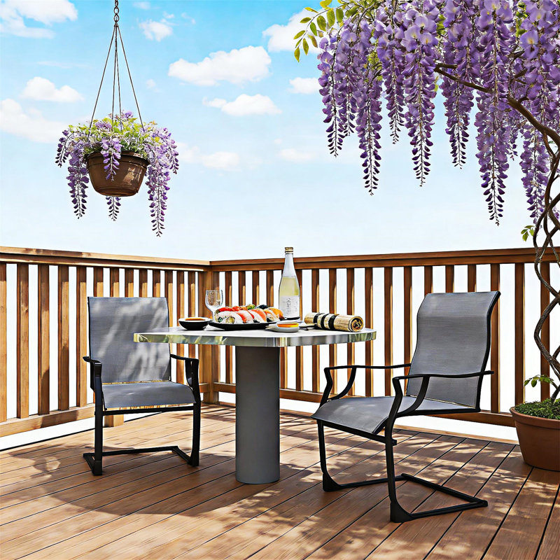 Ensemble de 2 chaises de patio
