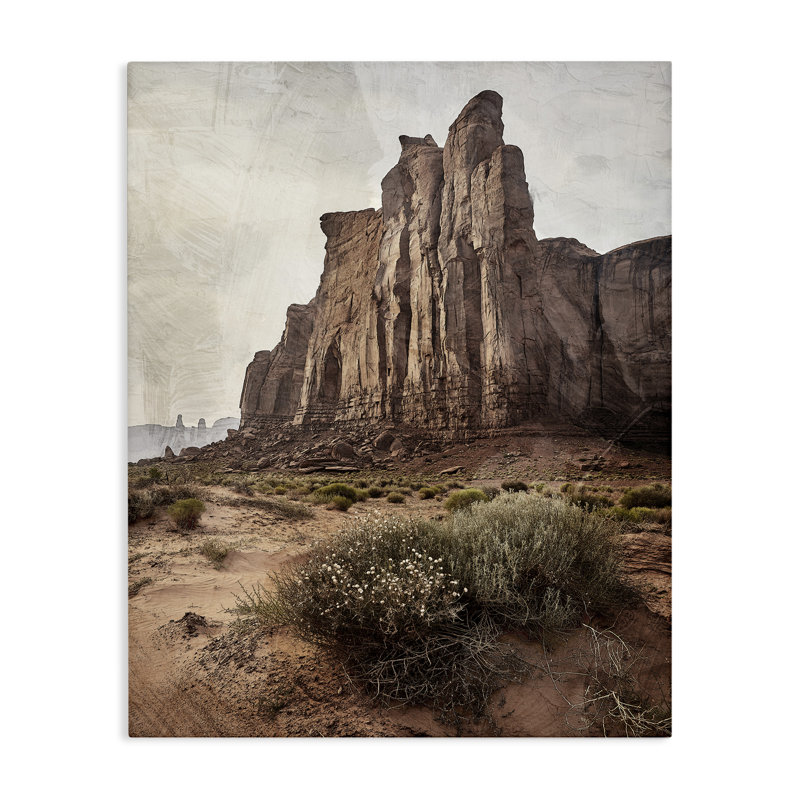 Toile Desolate Rock View, conception de Kim Allen, H 20 po x l 16 po