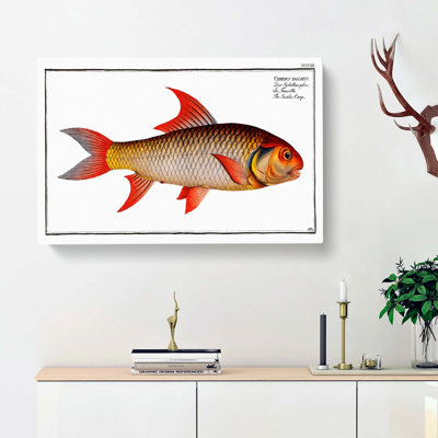 Sickle-Carp Fish by M.E. Bloch - Wrapped Canvas