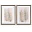 «Pampas Grass III» par Vincent Van Gogh - ensemble de reproductions d'art encadrées-38507447-38507441-38519892