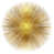 Gold selected