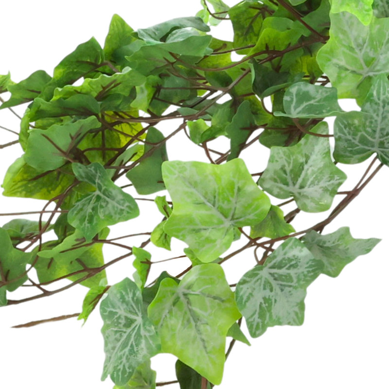 Ivy In Glass Vase With Grass