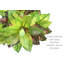 Doublure de plante artificielle Croton-800256260