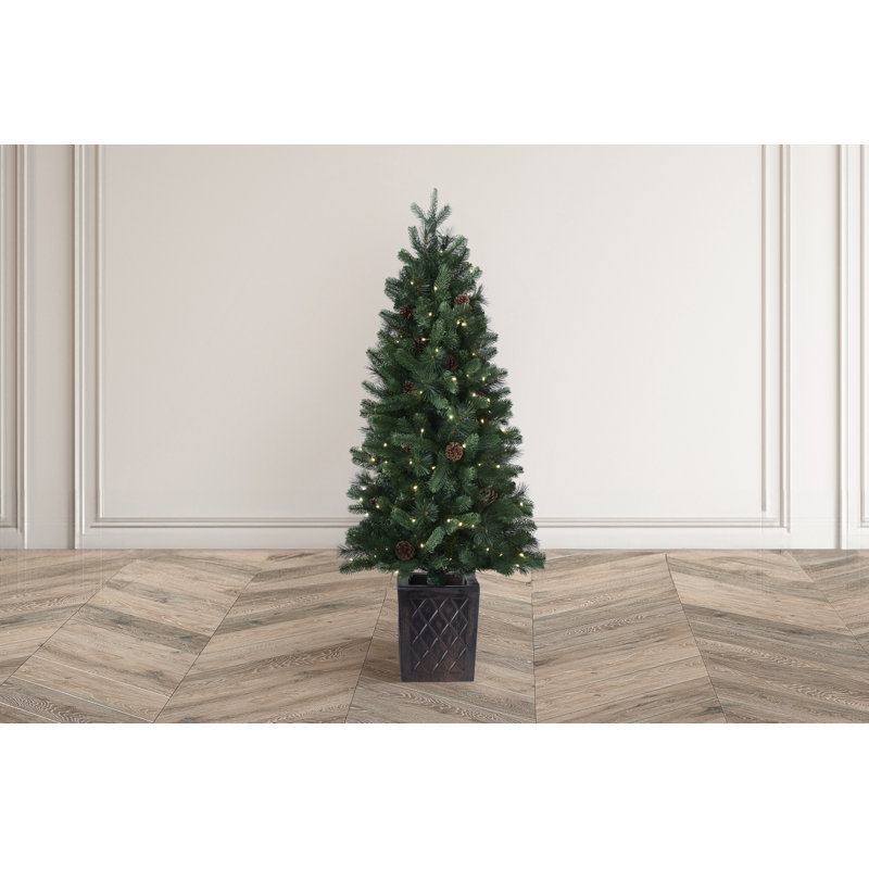 WALNUT PINE Bristle Tree - 4.5ft with 150 Warm White Lights