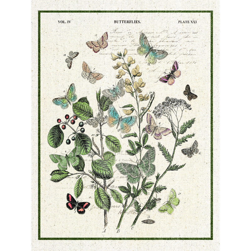" Botanical Butterfly Linen ", 40" H x 30" W