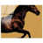 High-Gloss Acrylic Print is unavailable