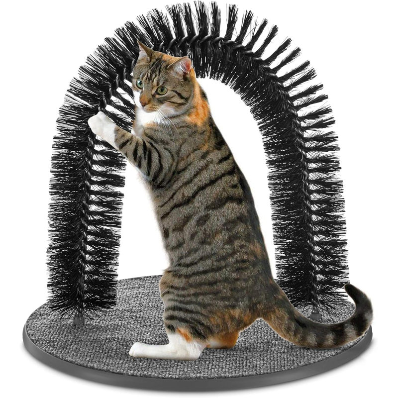 Scratching Post