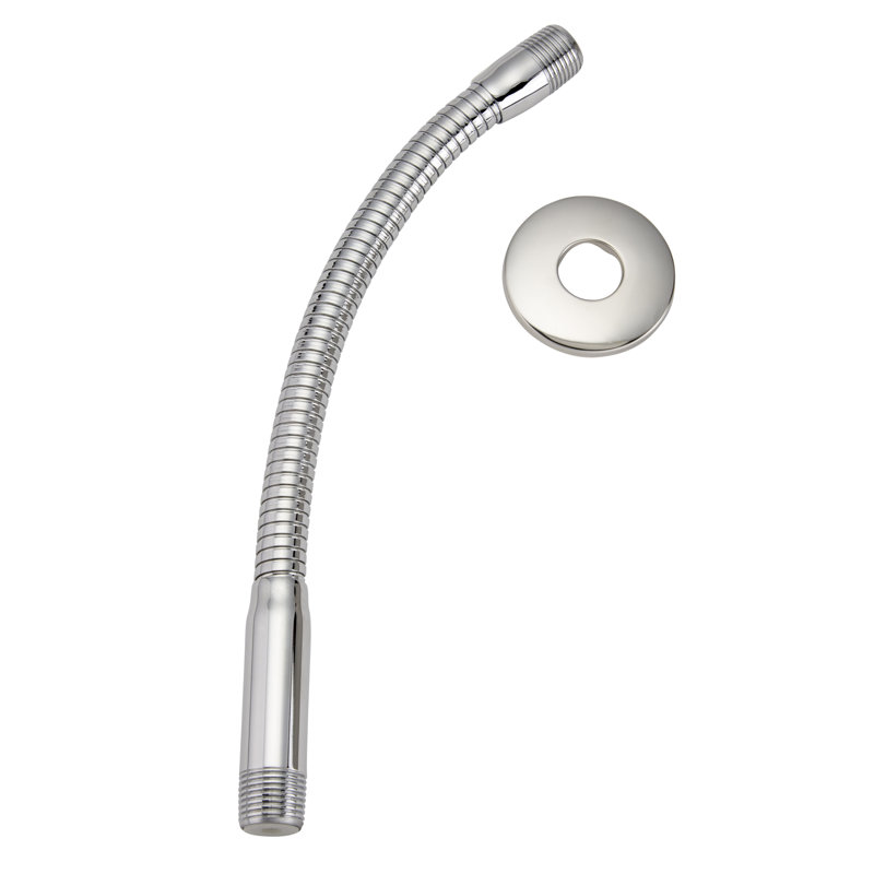 Bras de douche flexible et bride Stylewise, Chrome poli