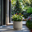 Pot à fleurs moyen rond en béton avec trous de drainage-123350769-123350771
