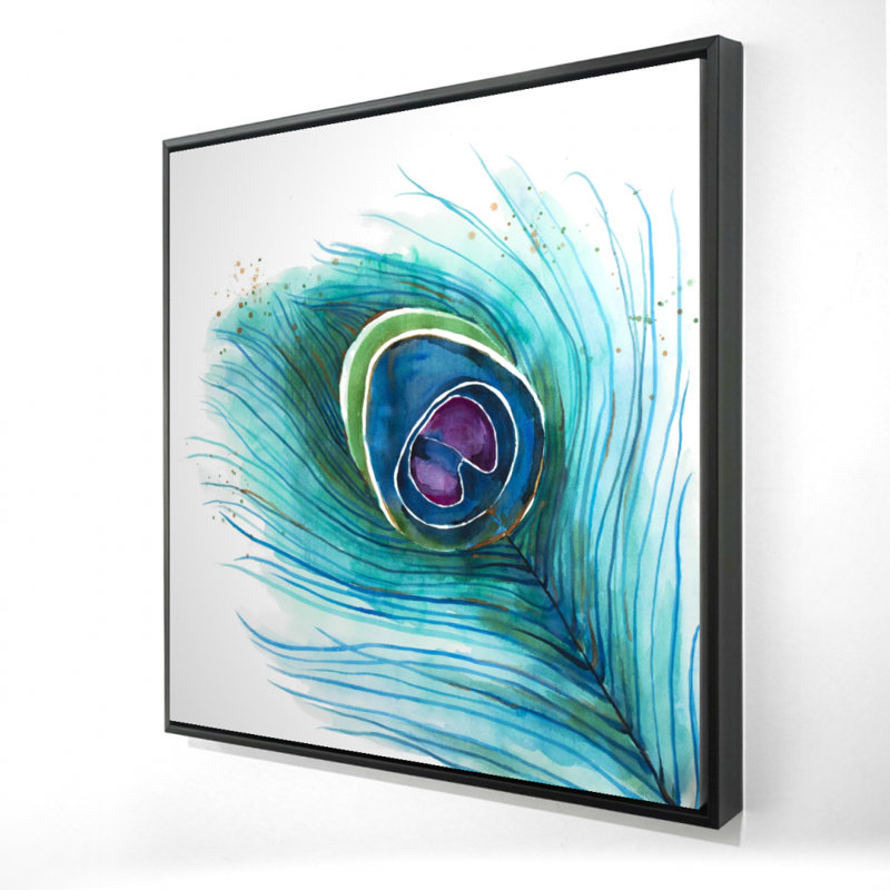 " Peacock Feather Closeup "